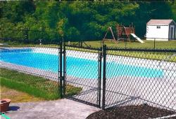 Inspiration Gallery - Pool Fencing - Image: 122