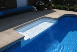 Inspiration Gallery - Pool Tanning Ledges - Image: 155