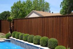 Inspiration Gallery - Pool Fencing - Image: 136